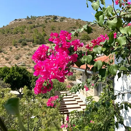 Merhaba Suits * Datça