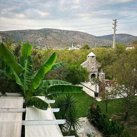 Merhaba Suits Datça